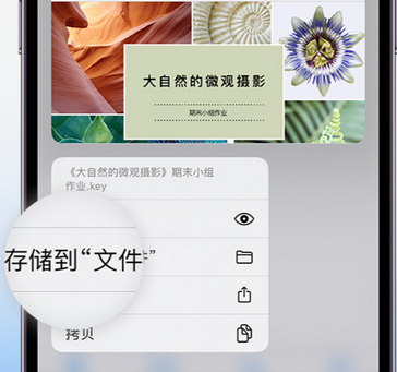 美姑apple维修中心分享iPhone文件应用中存储和找到下载文件