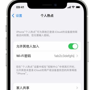 美姑apple服务站点分享iPhone上个人热点丢失了怎么办 