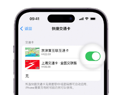 美姑apple维修点分享iPhone上更换Apple Pay快捷交通卡手绘卡面 