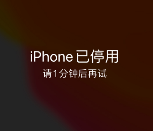 美姑苹果手机维修分享:iPhone 显示“不可用”或“已停用”怎么办？还能保留数据吗？ 