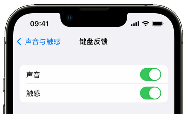 美姑苹果手机维修分享iPhone 14触感键盘使用方法 