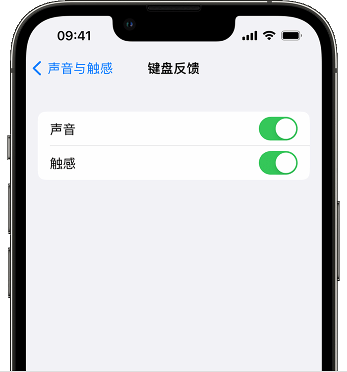 美姑苹果14维修店分享如何在 iPhone 14 机型中使用触感键盘 