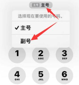 美姑苹果14维修店分享iPhone 14 Pro Max使用副卡打电话的方法 