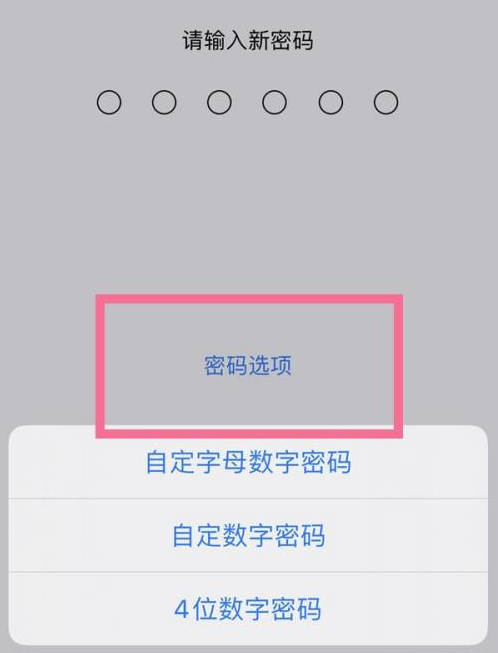 美姑苹果14维修分享iPhone 14plus设置密码的方法 