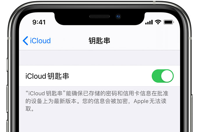 美姑苹果手机维修分享在 iPhone 上开启 iCloud 钥匙串之后会储存哪些信息 