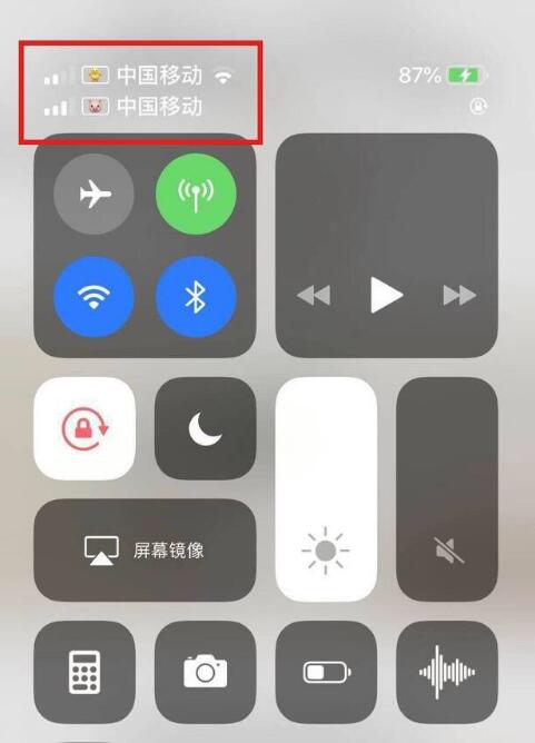 美姑苹果手机维修分享为 iPhone 12 双卡设置标签 